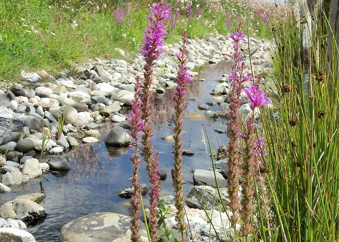 Au Calme 2 Pres Du Du Jaunay - Fr-1-783-7 בקתה *